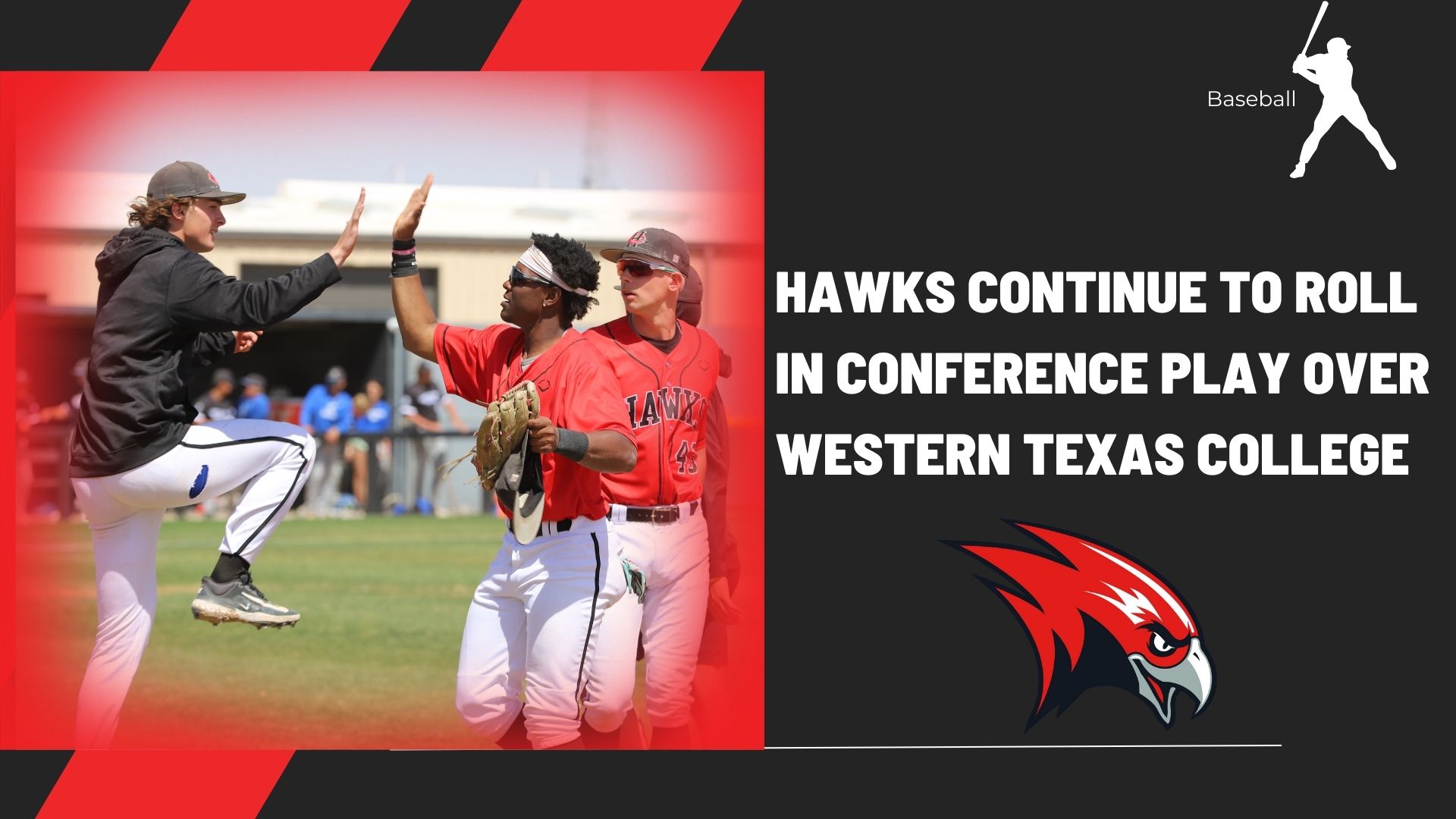 Graphic of the Hawks Baseball team 